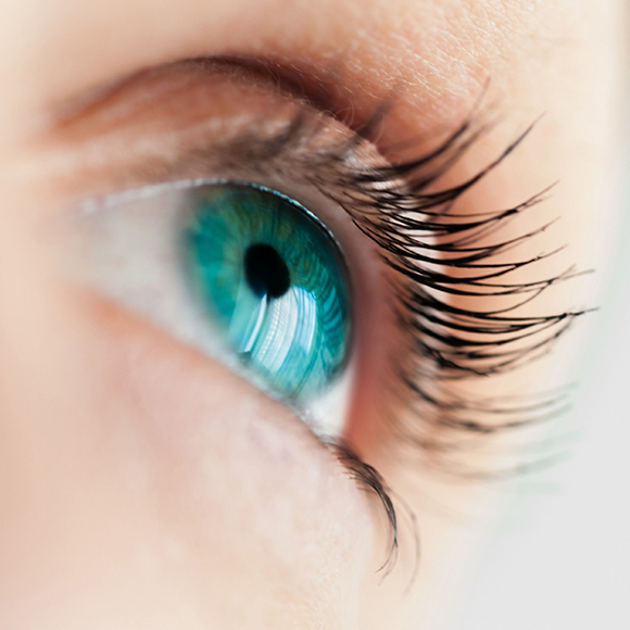 products page feature